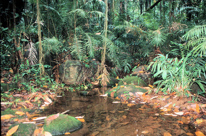 Seychellen 1999-032.jpg